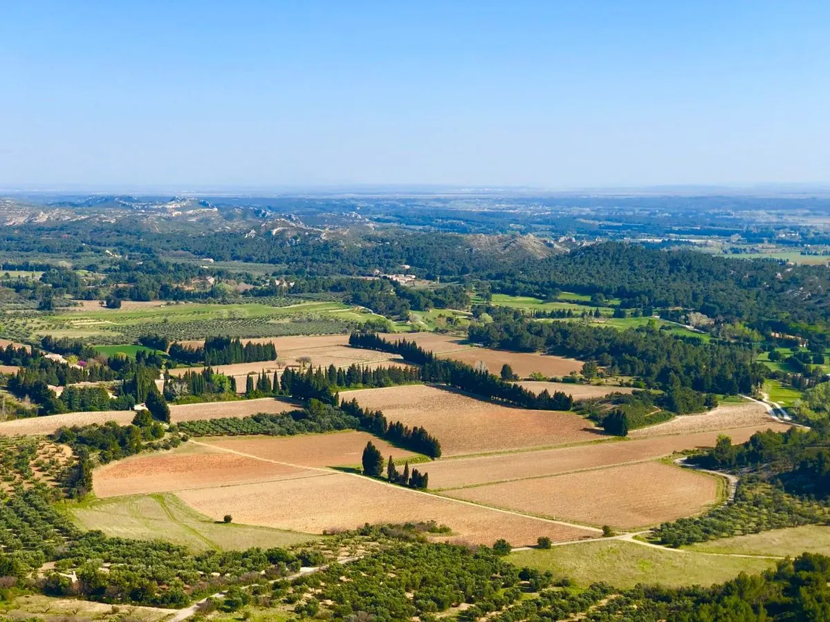 Collines et vignes autour d'Aubagne